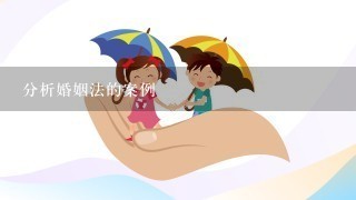 分析婚姻法的案例