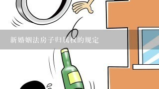 新婚姻法房子归属权的规定