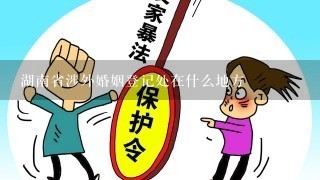 湖南省涉外婚姻登记处在什么地方