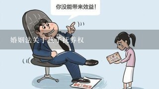 婚姻法关于孩子抚养权