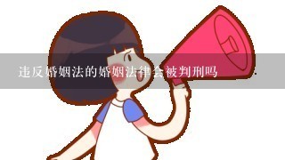 违反婚姻法的婚姻法律会被判刑吗