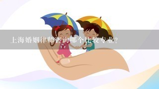 上海婚姻律师咨询哪个比较专业？