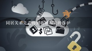 同居关系是否得到新婚姻法的保护