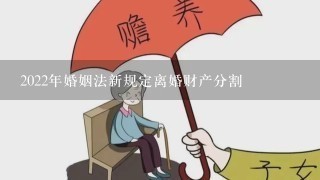 2022年婚姻法新规定离婚财产分割