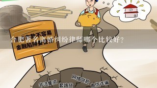 合肥著名离婚纠纷律师哪个比较好？