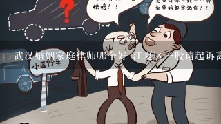 武汉婚姻家庭律师哪个好 江夏区一般请起诉离婚案件