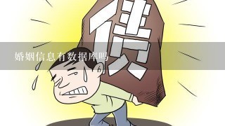 婚姻信息有数据库吗