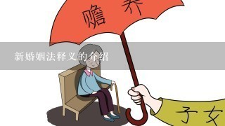 新婚姻法释义的介绍