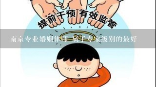 南京专业婚姻律师 属于专家级别的最好