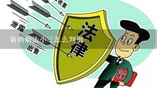 新婚姻法小3怎么判刑