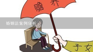 婚姻法案例分析