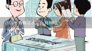 2023年婚姻法小3会判刑吗