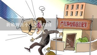 新婚姻法小3怎么判刑