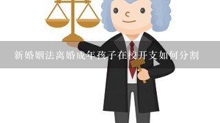 新婚姻法离婚成年孩子在校开支如何分割