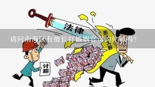 请问南海区有擅长打婚姻官司的律师吗？