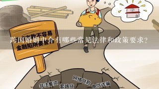 跨国婚姻中介有哪些常见法律和政策要求