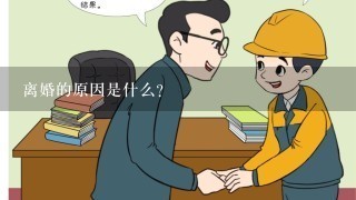 离婚的原因是什么?