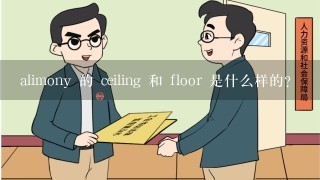 alimony 的 ceiling 和 floor 是什么样的?